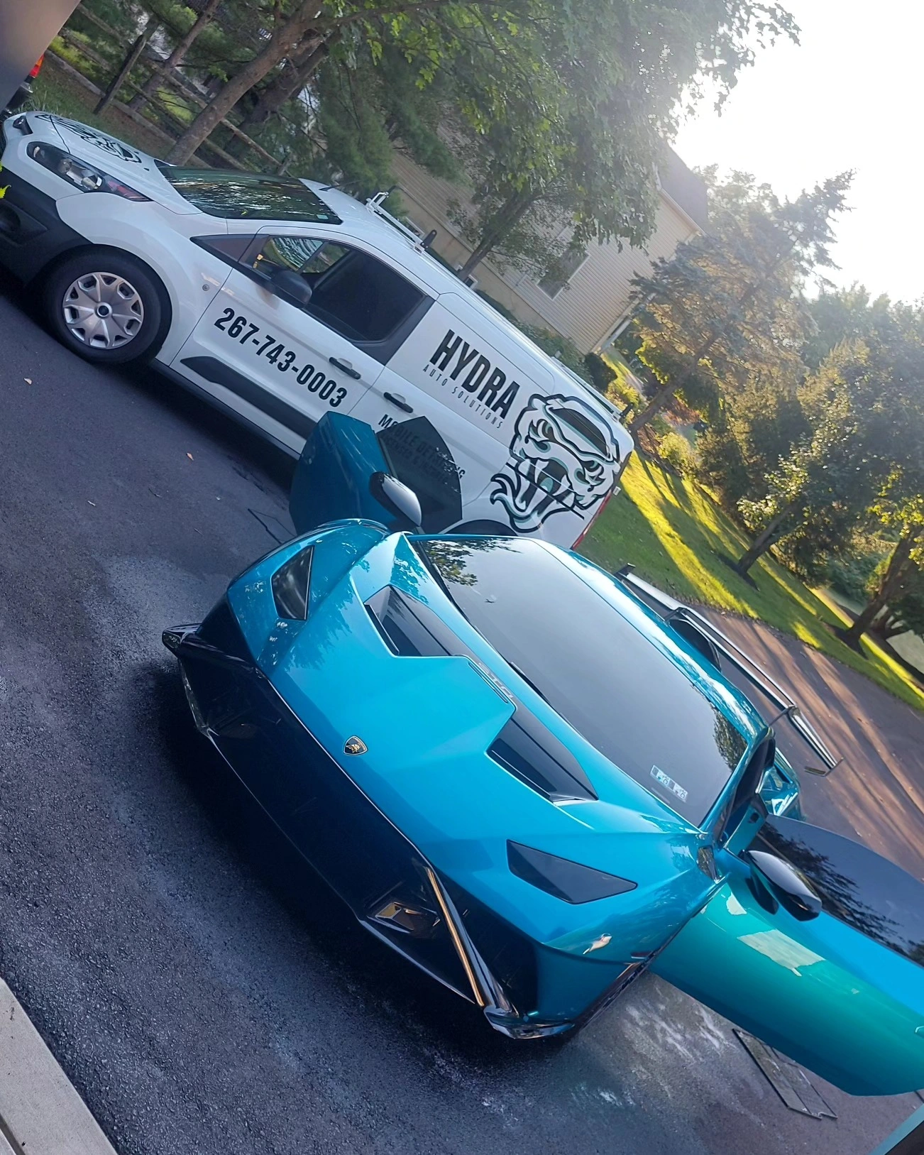 Hydra Auto Solutions branding on the mobile detailing van